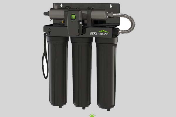 Filtration & Disinfection