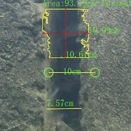 e-master-AI-detection